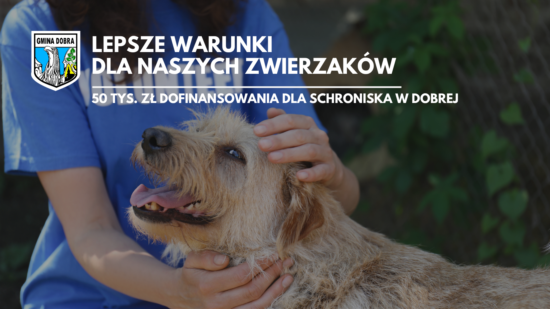 Dofinansowanie w wysokości 50 tys. zł  dla Schroniska dla Bezdomnych Zwierząt w Dobrej