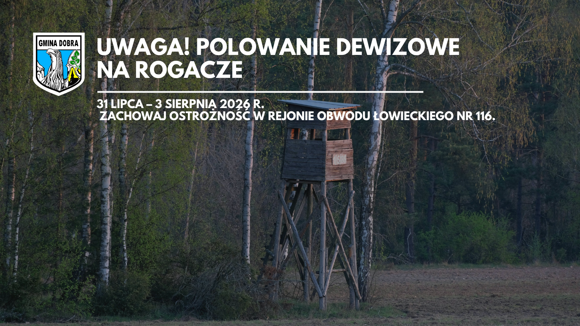 Komunikat – polowanie dewizowe na rogacze