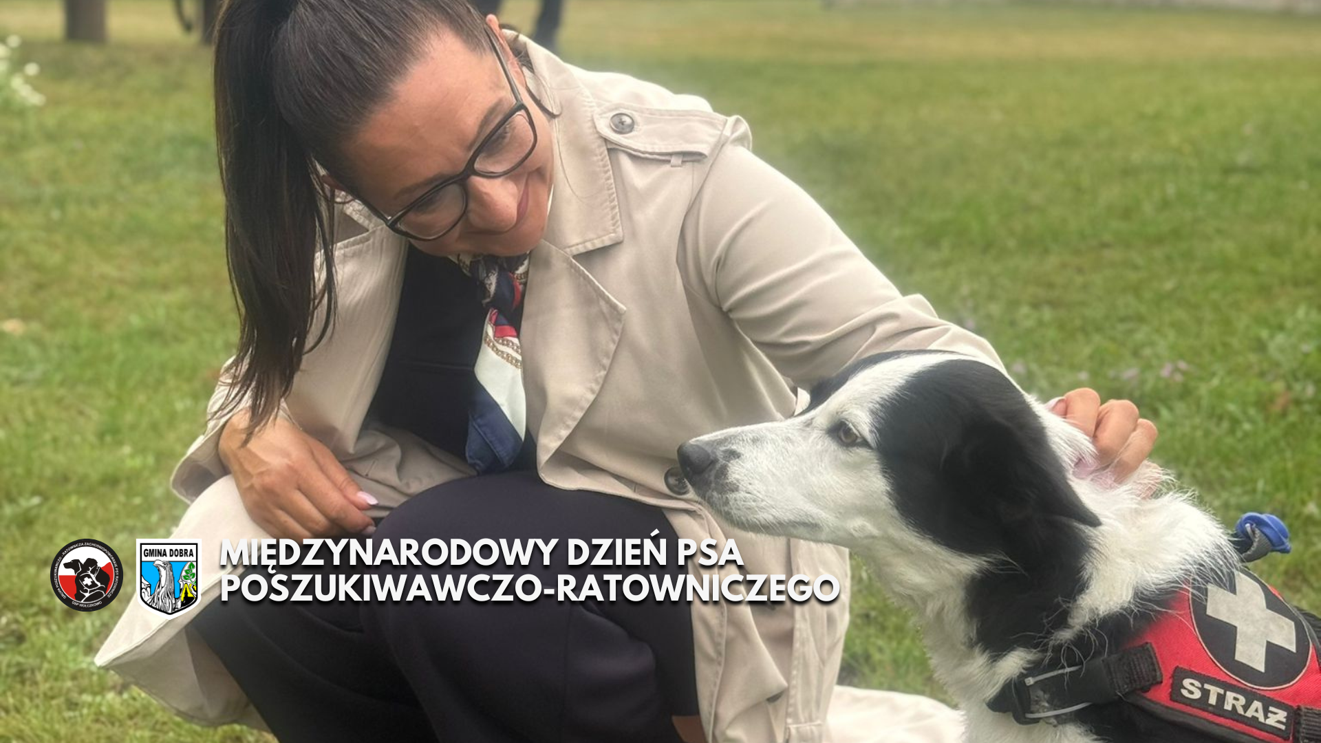 Międzynarodowy Dzień Psa Poszukiwawczo-Ratowniczego – hołd dla czworonożnych bohaterów
