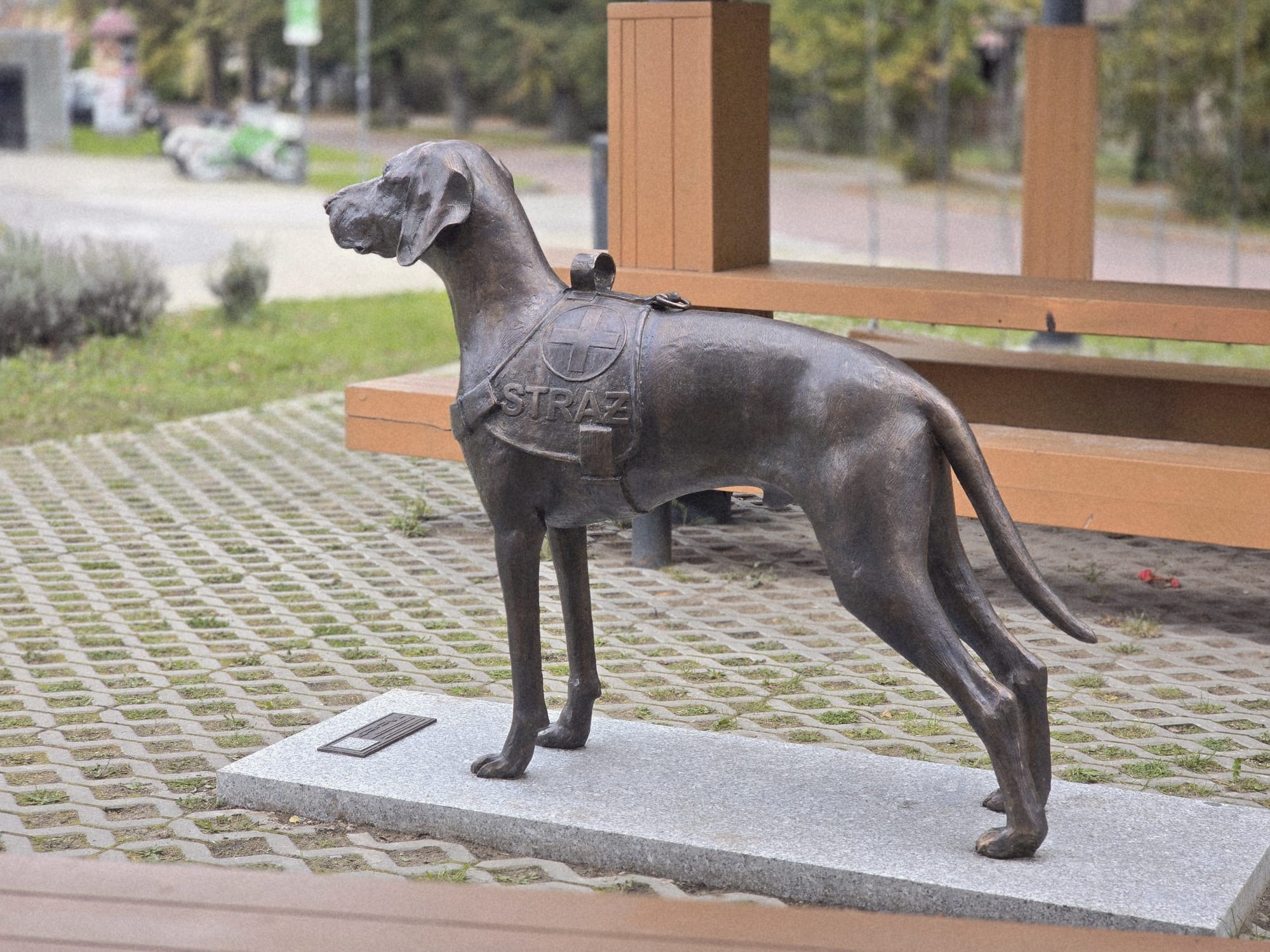 „Pies Ratownik – poszukiwanie osób zaginionych na Pograniczu” – wspólne działania na rzecz bezpieczeństwa