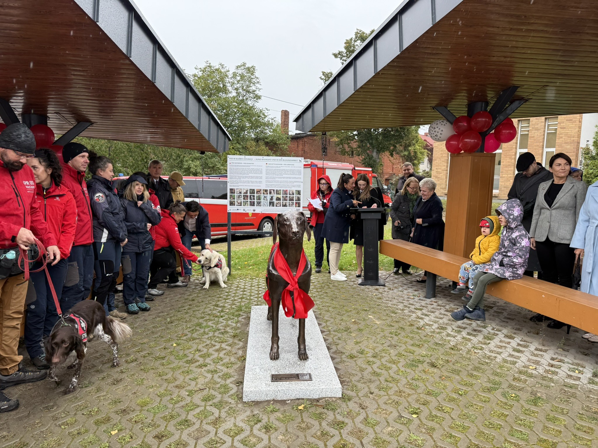 Pies Ratownik – symbol bezpieczeństwa i współpracy na Pograniczu