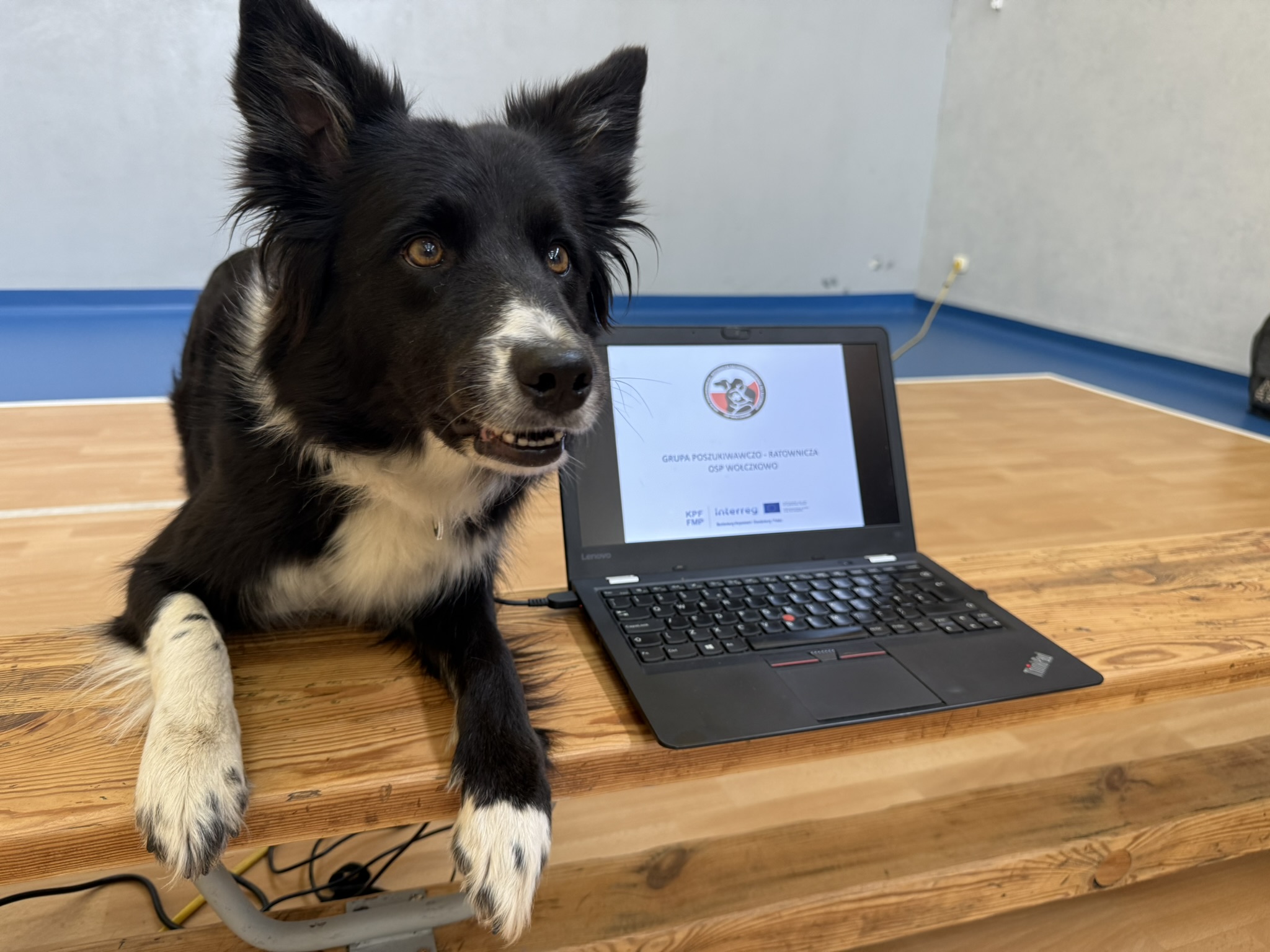 Pies Ratownik w szkole w Dołujach