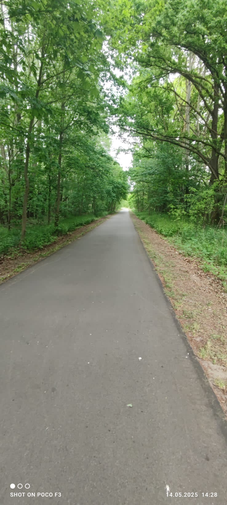 Planowane prace wzdłuż ścieżek rowerowych na terenie Gminy Dobra