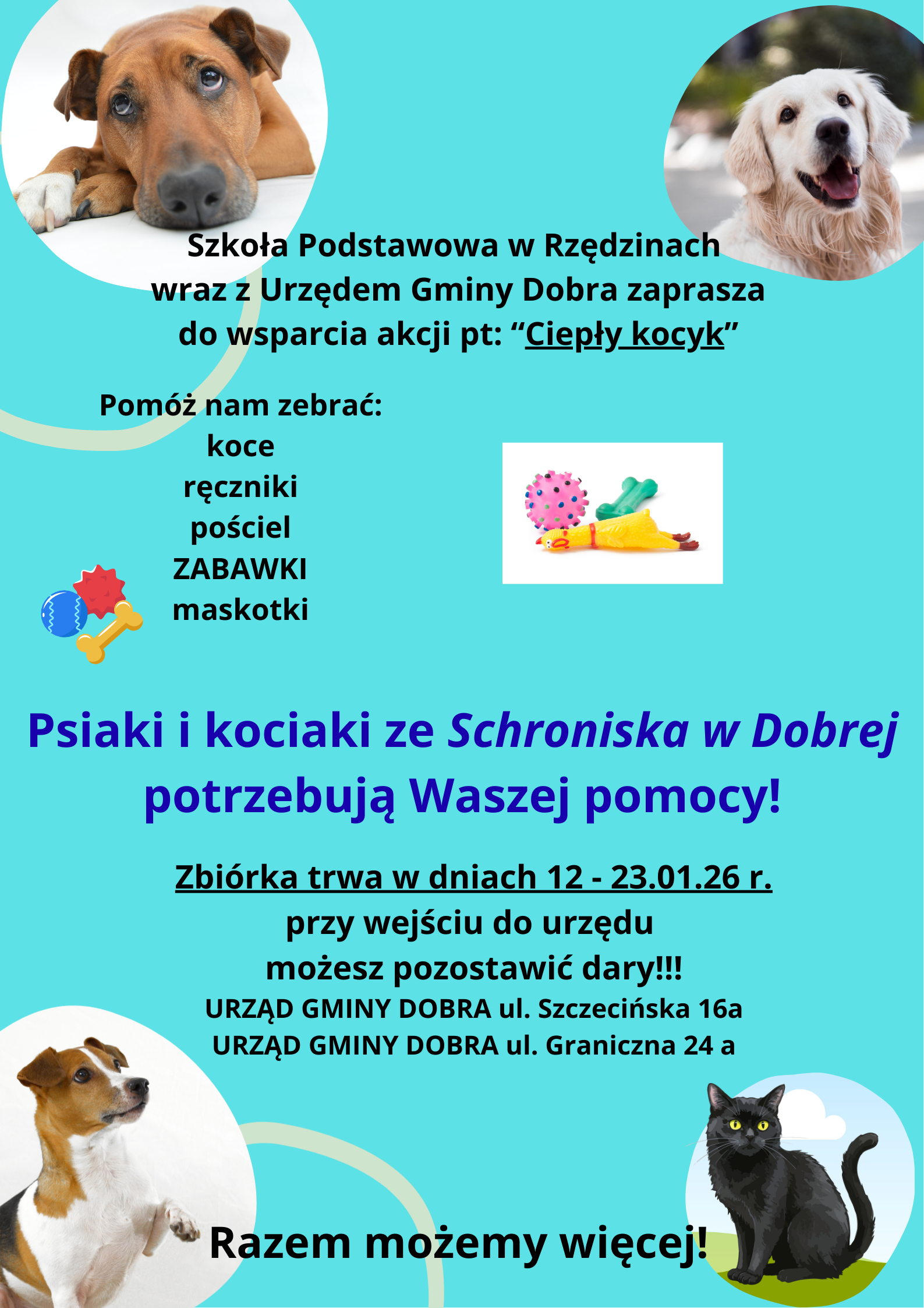 Pomagamy naszym futrzanym przyjaciołom – akcja „Ciepły kocyk”