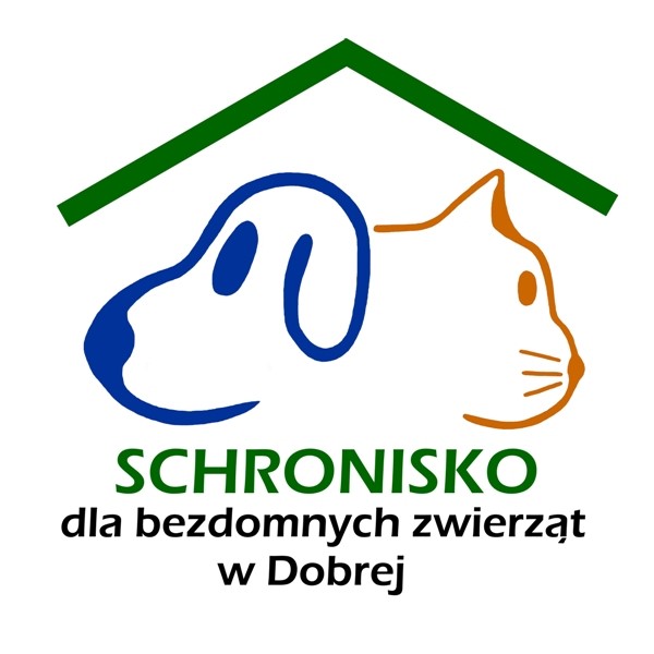 Pomoc Schroniska dla Bezdomnych Zwierząt zwierzętom uchodźców z Ukrainy