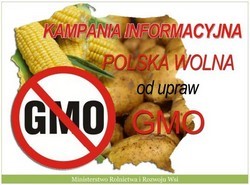 Polska wolna od upraw GMO