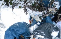 Śmieci w pobliżu miejscowości Skarbimierzyce - ciąg dalszy