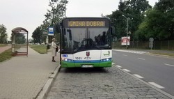 Nowe połączenia autobusowe w gminie Dobra