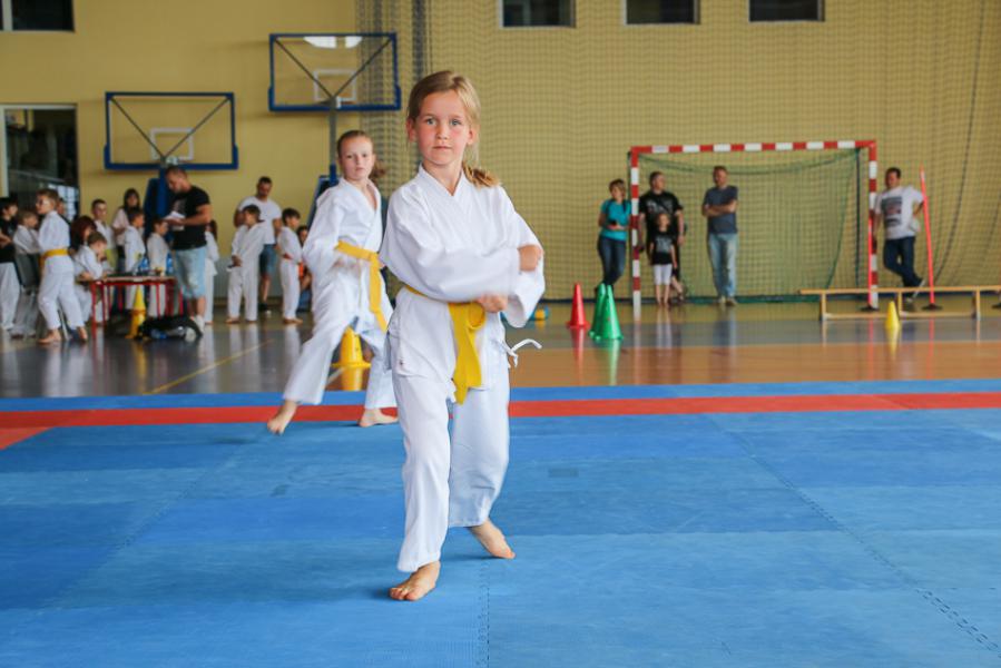 Otwarty Turniej Karate FUNAKOSHI-DO w Mierzynie - relacja 