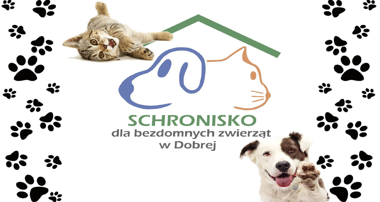 Prezentacja psiaków i kociaków ze Schroniska w Dobrej
